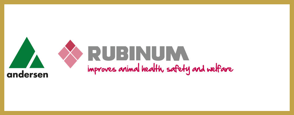 Logo de Andersen - Rubinum