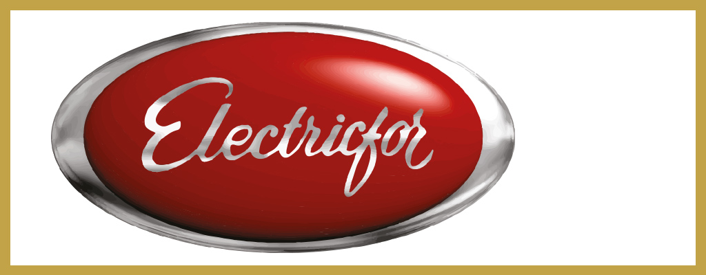 Logo de Electricfor
