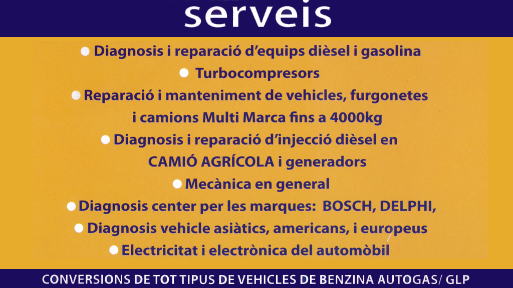 servei diesel sanchez
