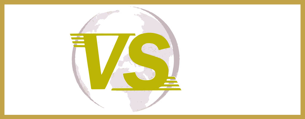 Logo de VS Logistics