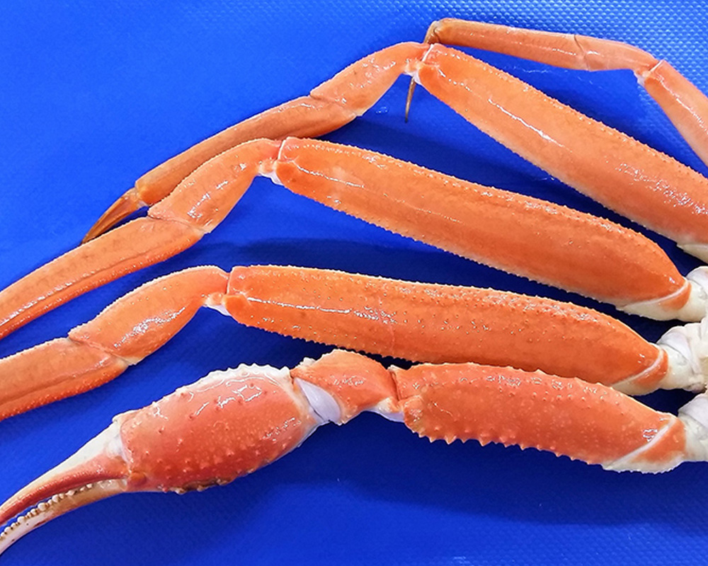 Imagen para Producto Crustacis de cliente Articfish