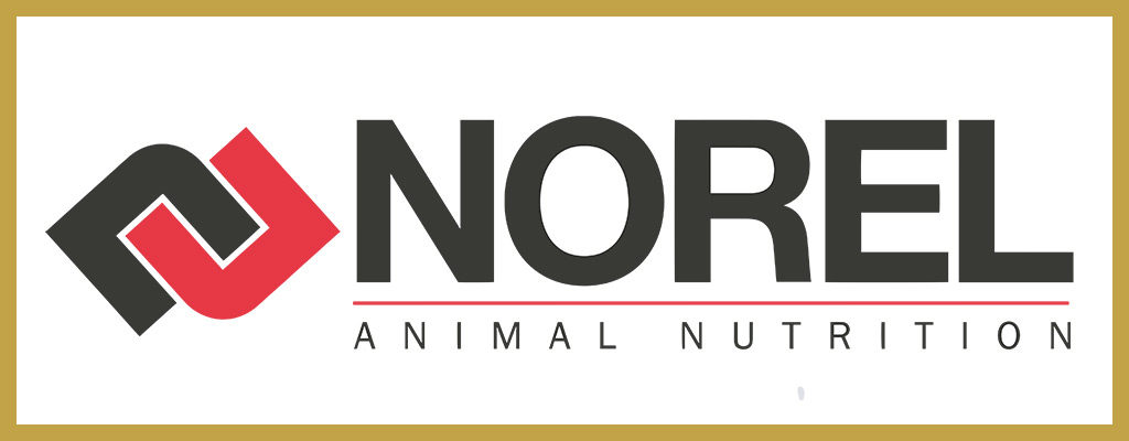 Logotipo de Norel & Nature