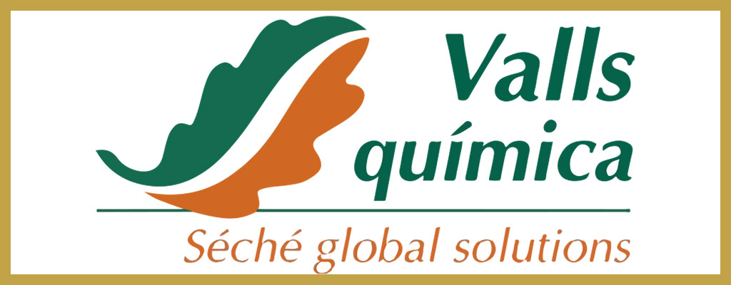 Logotipo de Valls Química