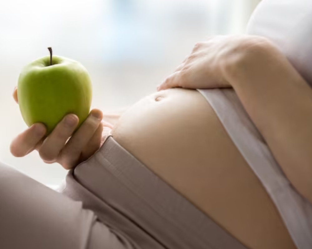 Imagen para Producto Dieta de embarazo de cliente Carme Pujadas. Dietética