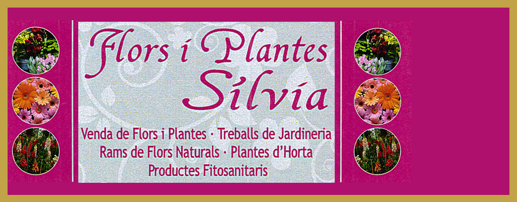 Logo de Flors i Plantes Silvia