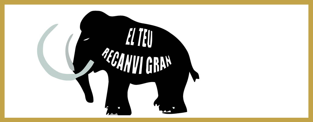 Logo de El Teu Recanvi Gran