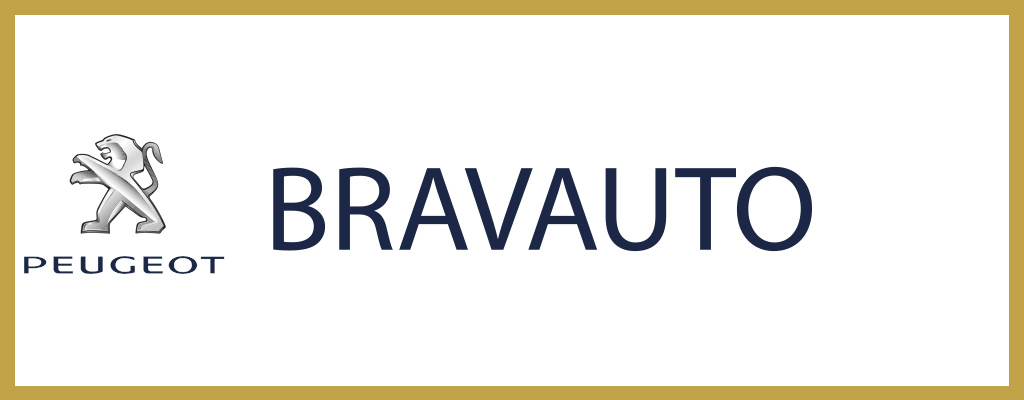 Logo de Bravauto