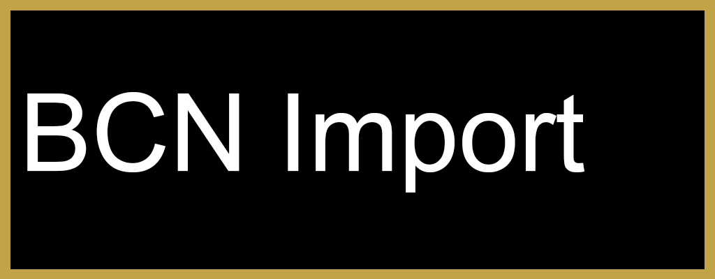 Logo de BCN Import