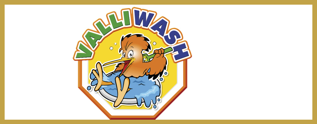 Logo de ValliWash