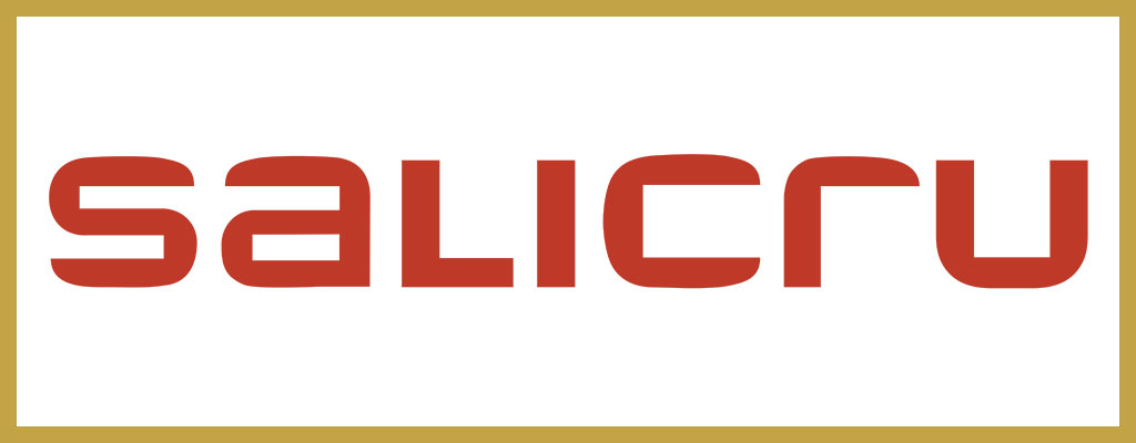 Logotipo de Salicru