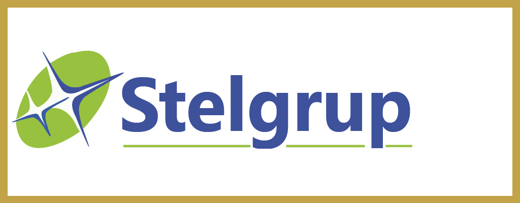 Logo de Stelgrup