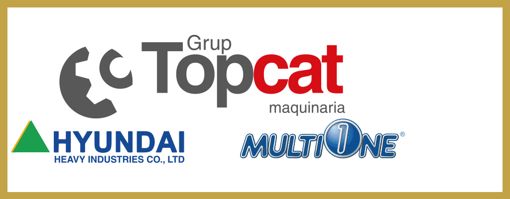 Logo de Topcat Grup
