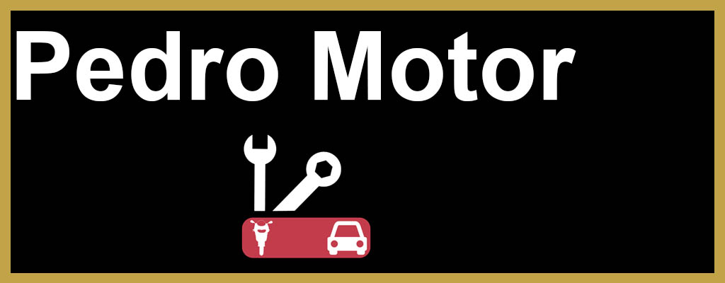 Logo de Pedro Motor