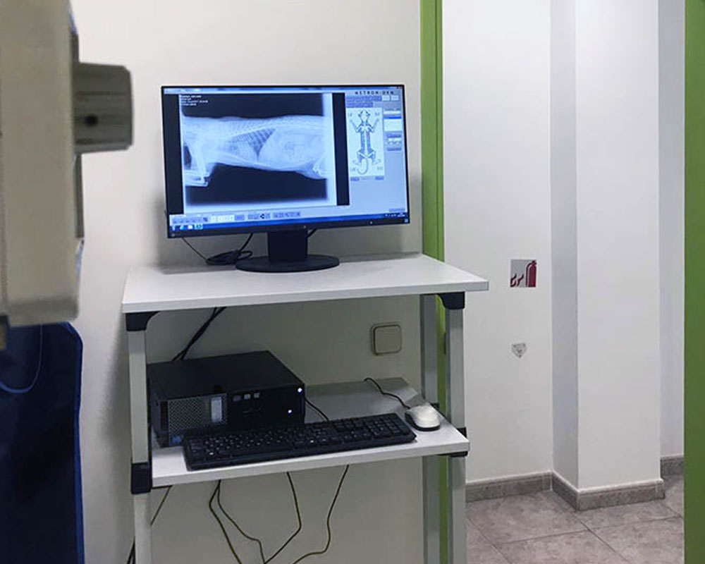 Imagen para Producto Radiología digital de cliente Clínica Veterinària Can Pilé