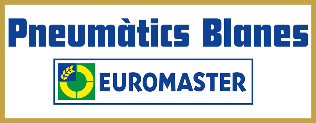 Logotipo de Euromaster Pneumatics