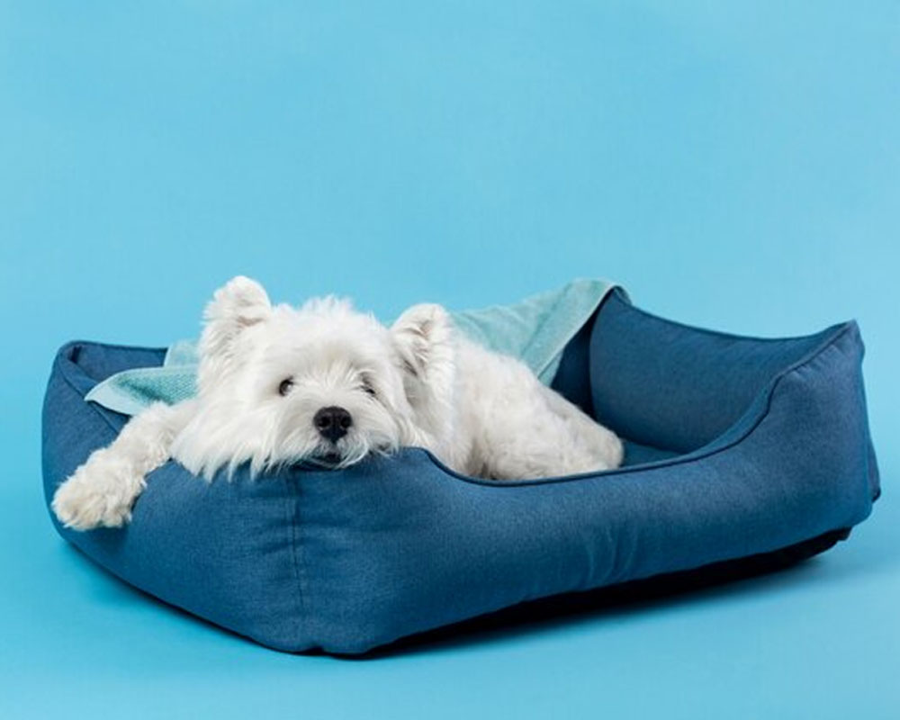 Imagen para Producto Cojines para animales de cliente Creacions tèxtils del descans