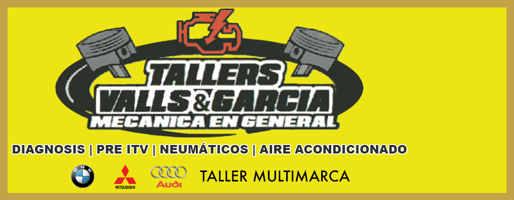 Logo de Tallers Valls García