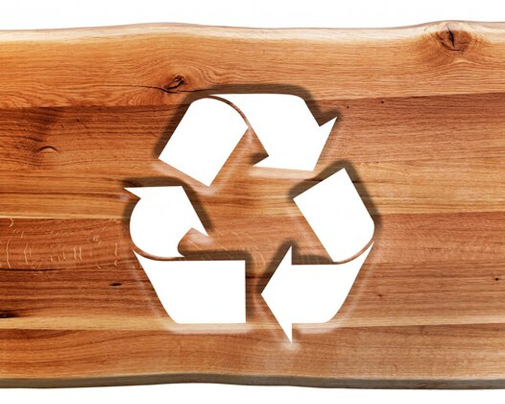 Imagen para Producto Reciclaje de madera de cliente Els Nous Palets