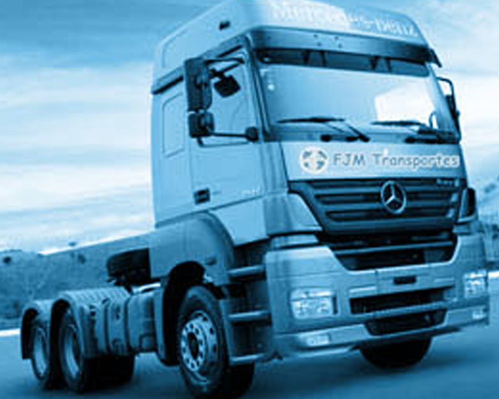 Imagen para Producto Camiones grua de cliente FJM Transportes