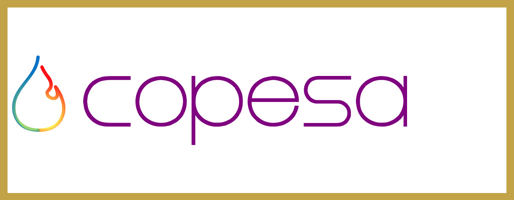 Logo de Copesa