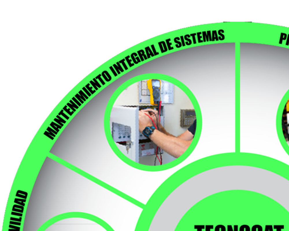 Imagen para Producto Manteniment integral de sistemes de cliente Tecnocat Seguretat