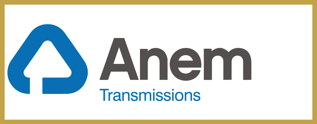 Logo de Anem