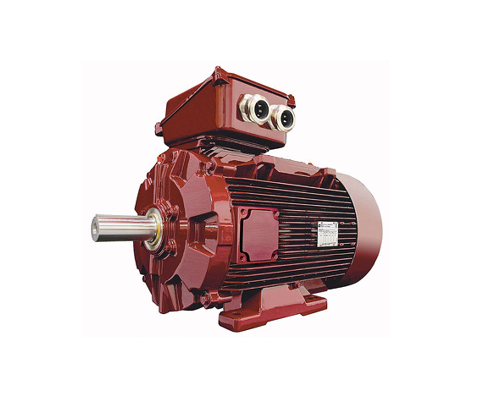 Imagen para Producto Reparación de motores eléctricos de cliente Bobinajes Robles