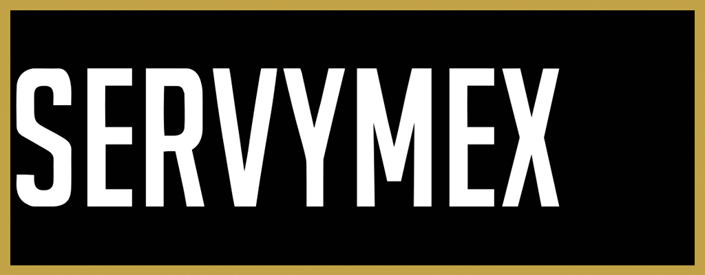 Logo de Servymex