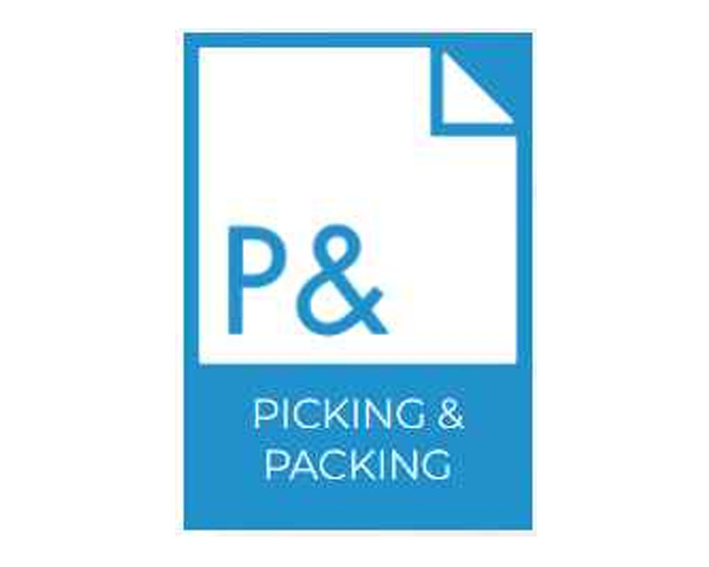 Imagen para Producto Picking & Packing de cliente Dismail