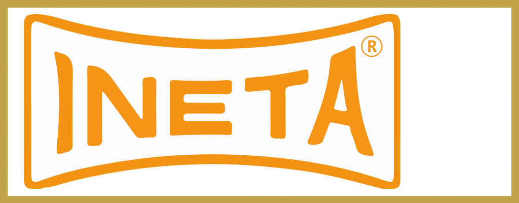 Logo de Ineta