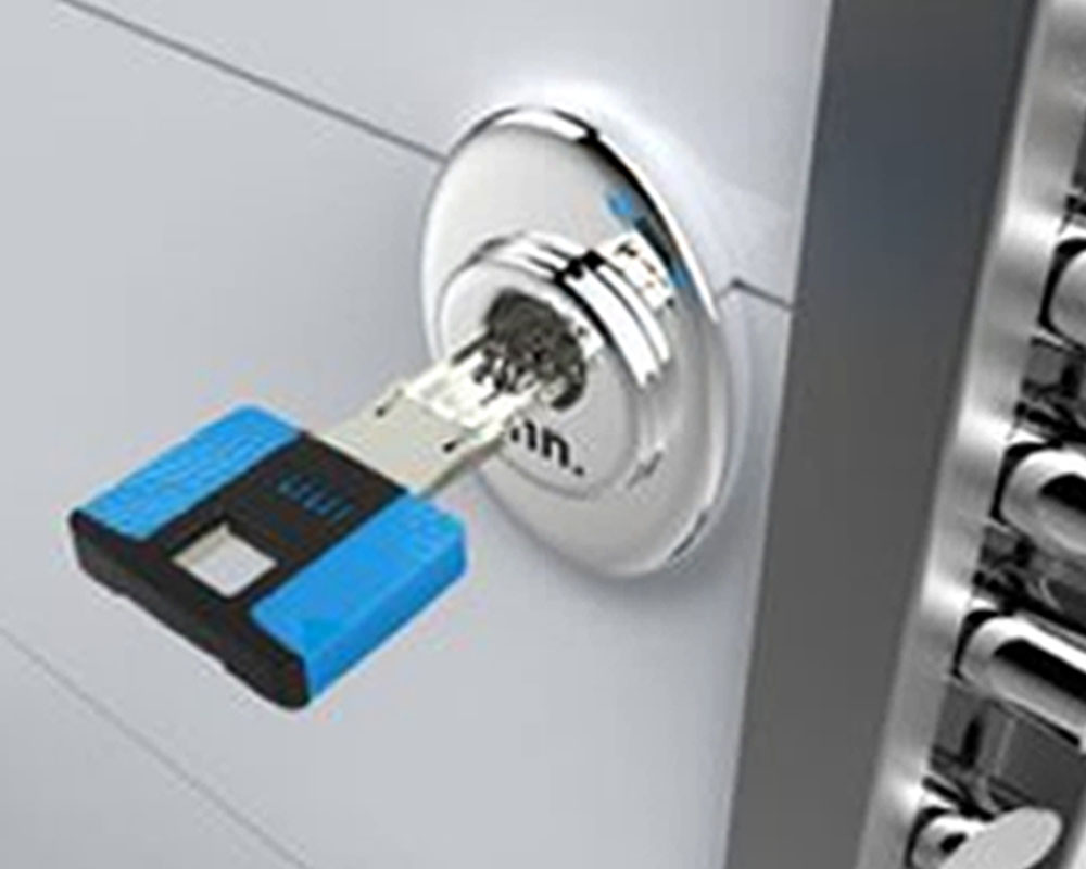 Imagen para Producto Puertas de seguridad de cliente MDN Cornellà