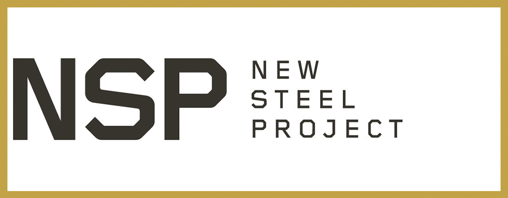 Logo de New Steel Project